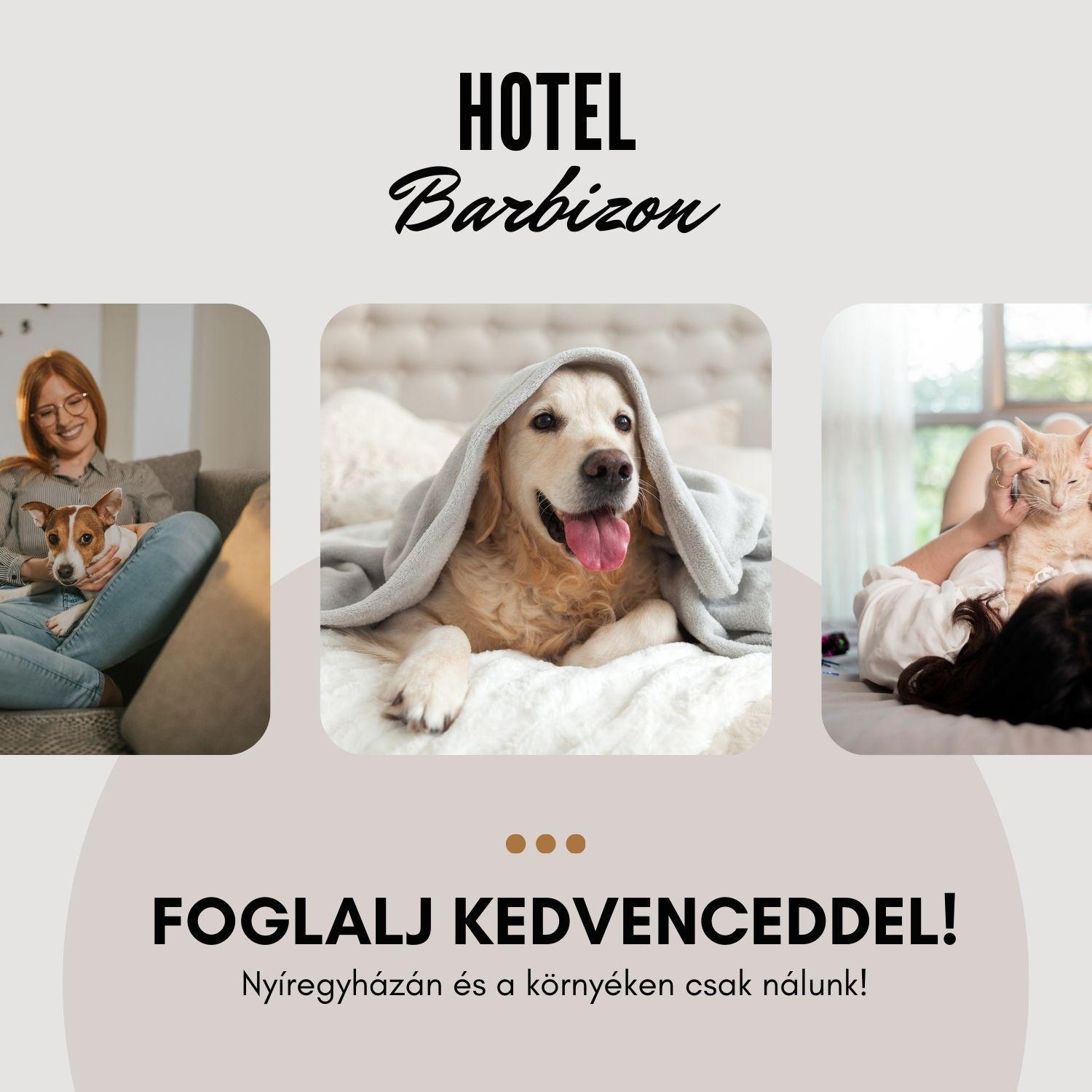 Hotel Barbizon Nyiregyhaza Ngoại thất bức ảnh