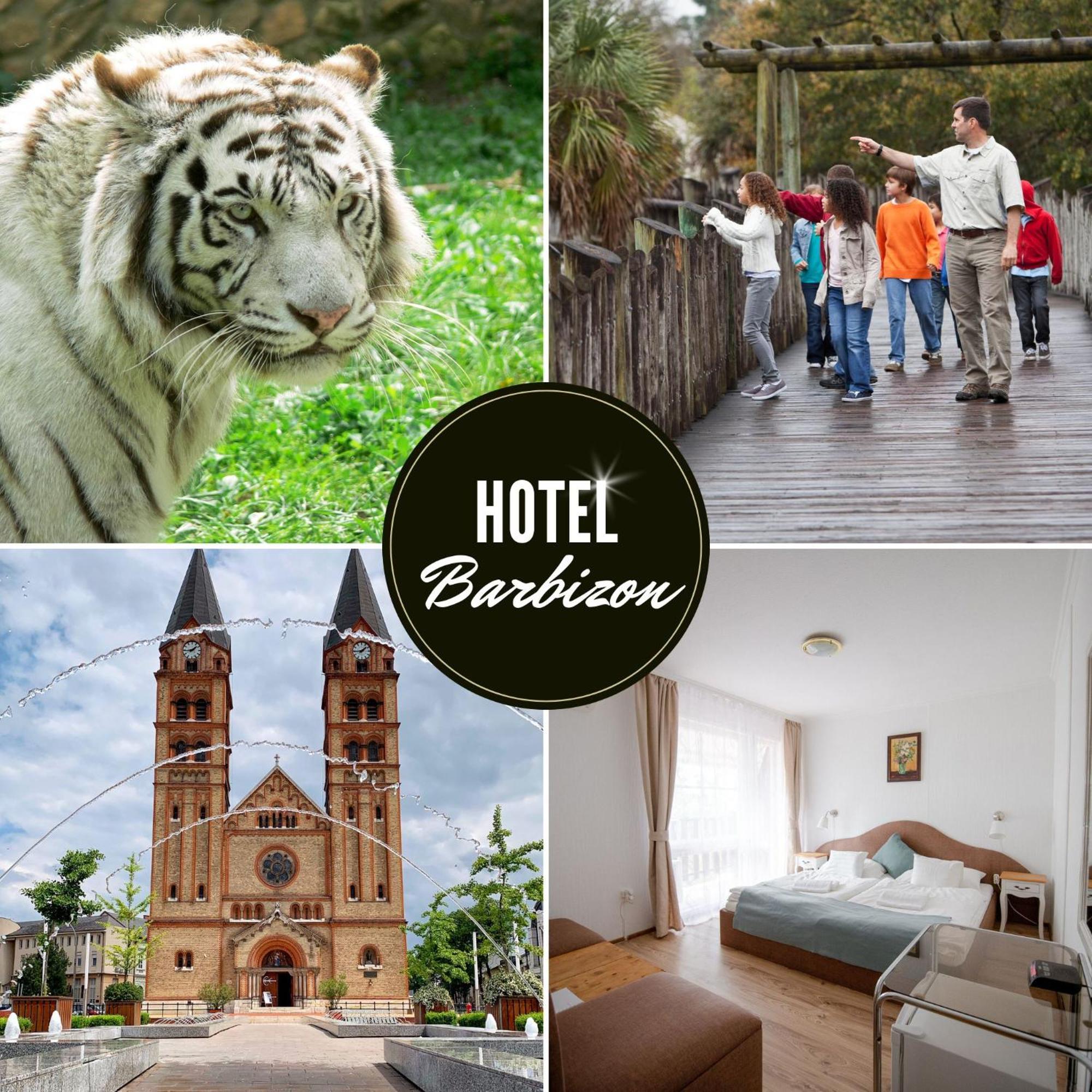 Hotel Barbizon Nyiregyhaza Ngoại thất bức ảnh